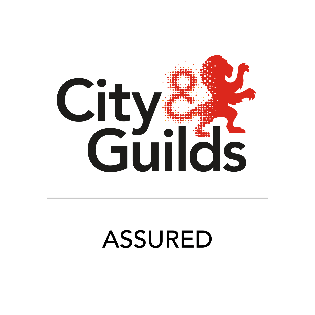 City & Guilds Assured
