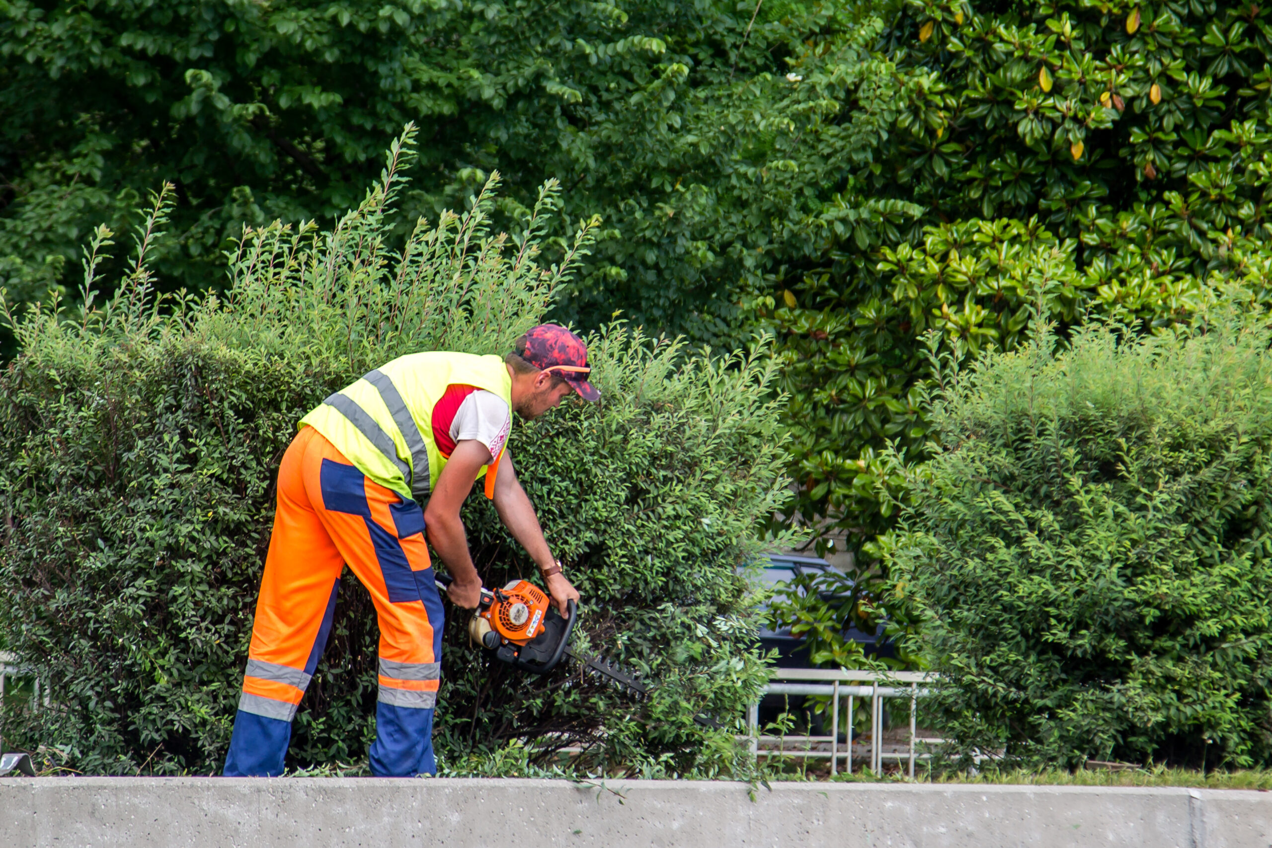 Grounds Keeping